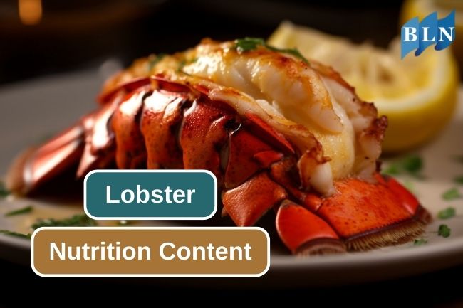6 Essential Nutrition Content in Lobster 